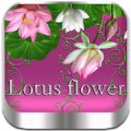 Lotus flower Go Launcher theme icon