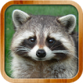 Kids Learn About Animals Mod APK icon