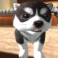 Dog Puppy Simulator 3D Mod APK icon