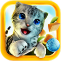 Cat Simulator Mod APK icon