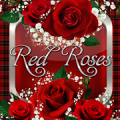 Red Roses Go Launcher  Theme Mod APK icon