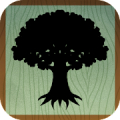 Evertree Inn icon