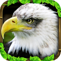 Eagle Simulator™ Mod APK icon