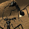 Ant Simulation 3D Full Mod APK icon