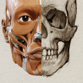 3D Anatomy for the Artist Mod APK icon