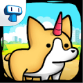 Corgi Evolution: Shiba Dogs Mod APK icon