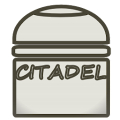 Citadel Paint PRO Mod APK icon
