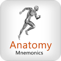 Anatomy Mnemonics Mod APK icon