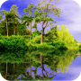 Forest Pond Live Wallpaper Mod APK 1.18 - Baixar Forest Pond Live Wallpaper Mod para android com [Pago gratuitamente][Co