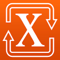 Roman Numerals Pro icon