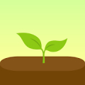 Forest: Focus for Productivity Mod APK icon
