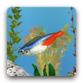 aniPet Freshwater Aquarium LWP Mod APK icon