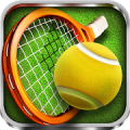 3D Tennis Mod APK icon
