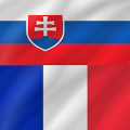 French - Slovak icon