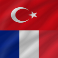 French - Turkish icon