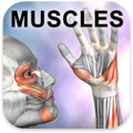 Learn Muscles: Anatomy Mod APK icon