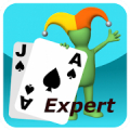 Blackjack Expert Mod APK icon