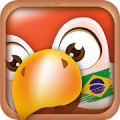 Learn Portuguese Phrase Mod APK icon