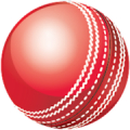 Cricket Speed Gun icon