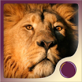 Spirit Animal Power Mod APK icon