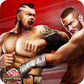 Champion Fight 3D Mod APK icon