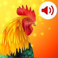 Animals Ringtones Mod APK icon