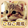 ねこ育成ゲーム - 子猫をのんびり育てる癒しの猫育成ゲーム Mod APK icon