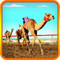 Camel Race 2018 3D мод APK icon