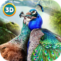 Peacock Simulator 3D icon