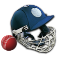 Cricket Captain 2014 icon