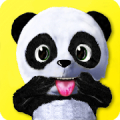 Daily Panda  icon