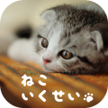 Cat Simulation Game 3D Mod APK icon