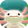 Axolotl Pet Mod APK icon