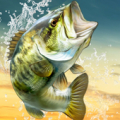 BIG FISH KING Mod APK icon