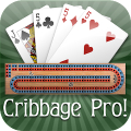 Cribbage Pro Online! Mod APK icon