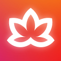 Meditative Mind: Healing Music Mod APK icon