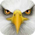 Ultimate Bird Simulator Mod APK icon