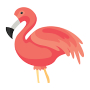 Flamingo Animator Mod APK 2.1 - Baixar Flamingo Animator Mod para android com [Desbloqueada][Prêmio]