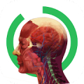 Arloon Anatomy Mod APK icon