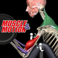 Strength by Muscle and Motion Mod APK icon