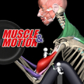 Strength by Muscle and Motion icon