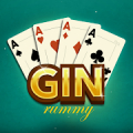 Gin Rummy - Offline Card Games Mod APK icon