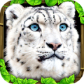 Snow Leopard Simulator Mod APK icon