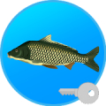True Fishing (key) icon