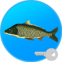 True Fishing (key) Mod APK 1.9.8.428 - Baixar True Fishing (key) Mod para android com [Pago gratuitamente][Compra grátis