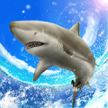 Wild Shark Fishing Mod APK icon