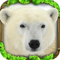 Polar Bear Simulator Mod APK icon