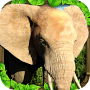 Elephant Simulator Mod APK 3.0 - Baixar Elephant Simulator Mod para android com [Dinheiro Ilimitado]