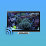 Aquariums on TV via Chromecast Mod APK 1.4 - Baixar Aquariums on TV via Chromecast Mod para android com [Pago gratuitame