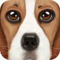 Ultimate Dog Simulator Mod APK icon
